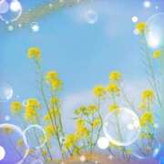 ヒメ日記 2026/01/13 21:24 投稿 広末 ローズマリー大塚