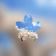 ヒメ日記 2026/01/23 21:34 投稿 広末 ローズマリー大塚