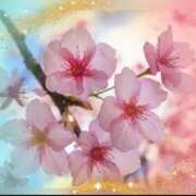 ヒメ日記 2026/01/30 21:24 投稿 広末 ローズマリー大塚