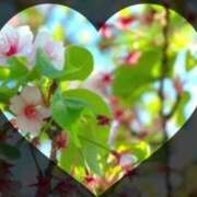 広末 こんばんは ローズマリー大塚