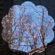 ヒメ日記 2026/03/06 21:34 投稿 広末 ローズマリー大塚