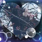 広末 こんばんは ローズマリー大塚