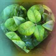 ヒメ日記 2025/01/07 21:08 投稿 広末　明日香 東京ローズマリー