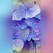 ヒメ日記 2025/04/25 21:07 投稿 広末　明日香 東京ローズマリー