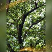 ヒメ日記 2025/05/20 21:07 投稿 広末　明日香 東京ローズマリー