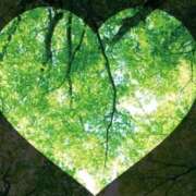 ヒメ日記 2025/06/06 21:17 投稿 広末　明日香 東京ローズマリー