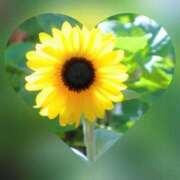 ヒメ日記 2025/06/13 20:57 投稿 広末　明日香 東京ローズマリー