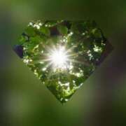 ヒメ日記 2025/06/21 21:07 投稿 広末　明日香 東京ローズマリー