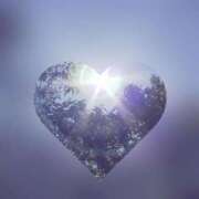 ヒメ日記 2025/07/06 21:07 投稿 広末　明日香 東京ローズマリー