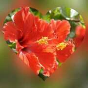 ヒメ日記 2025/07/18 21:27 投稿 広末　明日香 東京ローズマリー