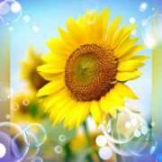 ヒメ日記 2025/07/29 21:27 投稿 広末　明日香 東京ローズマリー