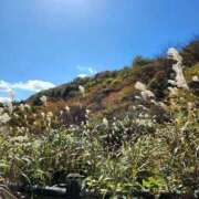 ヒメ日記 2025/08/29 21:17 投稿 広末　明日香 東京ローズマリー