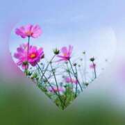 ヒメ日記 2025/08/30 21:17 投稿 広末　明日香 東京ローズマリー