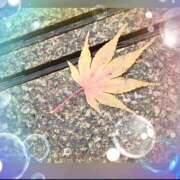 ヒメ日記 2025/10/03 21:15 投稿 広末　明日香 東京ローズマリー