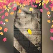 ヒメ日記 2025/10/21 21:27 投稿 広末　明日香 東京ローズマリー