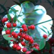 ヒメ日記 2025/11/18 21:17 投稿 広末　明日香 東京ローズマリー