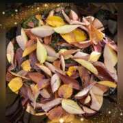 ヒメ日記 2025/11/28 21:23 投稿 広末　明日香 東京ローズマリー