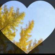 ヒメ日記 2025/12/05 21:27 投稿 広末　明日香 東京ローズマリー