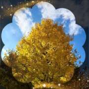 広末　明日香 こんばんは 東京ローズマリー