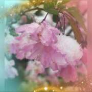 ヒメ日記 2026/01/06 20:57 投稿 広末　明日香 東京ローズマリー