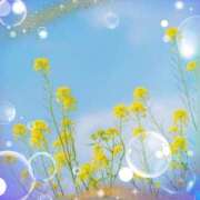 広末　明日香 こんばんは 東京ローズマリー