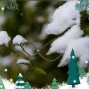 ヒメ日記 2026/01/27 21:27 投稿 広末　明日香 東京ローズマリー