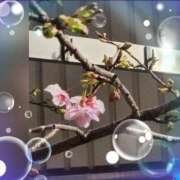 ヒメ日記 2026/02/06 21:07 投稿 広末　明日香 東京ローズマリー