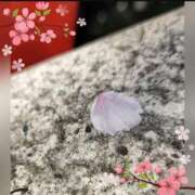 ヒメ日記 2026/03/14 21:07 投稿 広末　明日香 東京ローズマリー