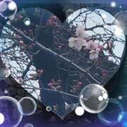 ヒメ日記 2026/03/19 21:17 投稿 広末　明日香 東京ローズマリー