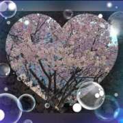 ヒメ日記 2026/04/03 21:17 投稿 広末　明日香 東京ローズマリー