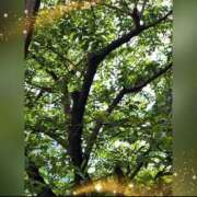 ヒメ日記 2026/04/17 21:17 投稿 広末　明日香 東京ローズマリー