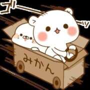 ヒメ日記 2025/12/04 15:51 投稿 みほ 桃色奥様 松戸本店