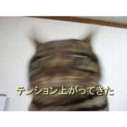 ヒメ日記 2026/05/07 12:05 投稿 みほ 桃色奥様 松戸本店