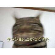 ヒメ日記 2026/10/16 13:02 投稿 みほ 桃色奥様 松戸本店