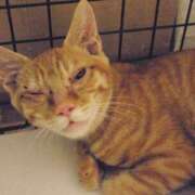 ヒメ日記 2025/05/03 12:46 投稿 河合 熟女の風俗最終章　鶯谷店