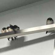 ヒメ日記 2025/05/08 14:26 投稿 河合 熟女の風俗最終章　鶯谷店