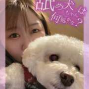 ヒメ日記 2025/12/21 16:05 投稿 なつほ 丸妻 新横浜店