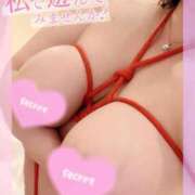 ヒメ日記 2026/02/01 14:18 投稿 なつほ 丸妻 新横浜店