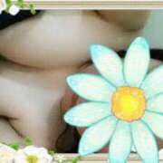 ヒメ日記 2025/04/02 07:24 投稿 とわ 丸妻 新横浜店