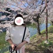 ヒメ日記 2025/04/16 12:51 投稿 とわ 丸妻 新横浜店