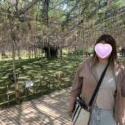 ヒメ日記 2025/05/10 19:20 投稿 とわ 丸妻 新横浜店