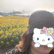 ヒメ日記 2025/08/04 19:54 投稿 とわ 丸妻 新横浜店