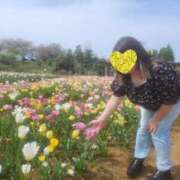 ヒメ日記 2025/10/07 12:38 投稿 とわ 丸妻 新横浜店