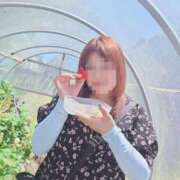 ヒメ日記 2026/05/06 05:49 投稿 とわ 丸妻 新横浜店