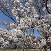 ヒメ日記 2025/04/09 18:31 投稿 西原 千春☆いろいろ膨らむゆるふわ親密感 MARVELOUS