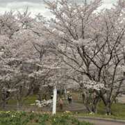 ヒメ日記 2026/04/08 08:15 投稿 西原 千春☆いろいろ膨らむゆるふわ親密感 MARVELOUS
