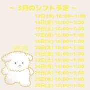 ヒメ日記 2025/03/11 17:00 投稿 あめ【FG系列】 フィーリングin厚木【FG系列】