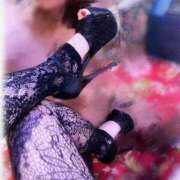 白鷹一妃女王 今日は育成コースもあるよ！ 完全会員制SM倶楽部M′s Reboot（エムズリブート）