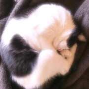 あずさ 出勤〜(*´꒳`*)\(//∇//)\ 濃厚即19妻