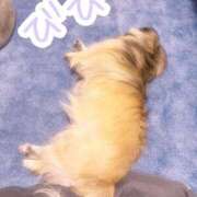 ヒメ日記 2024/12/22 15:31 投稿 びび Candy×Candy （キャンディ×キャンディ）